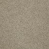 DSW.CANOGA.PARK Tuftex Canoga Park Carpet