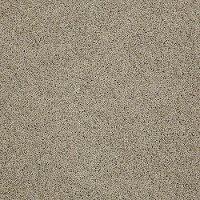 DSW.CANOGA.PARK Tuftex Canoga Park Carpet