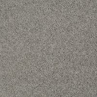 Tuftex Beverly Crest Carpet