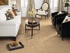 Tuftex Beverly Crest Carpet-2