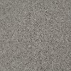 Tuftex Stainmaster Beverly Crest Carpet