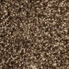 PHN.PARADOX Phenix Paradox Carpet