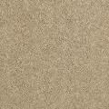KAR.DOVERCOURT.PARK.MD Karastan Dovercourt Park Carpet