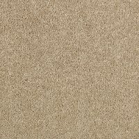 Karastan Dovercourt Park Carpet