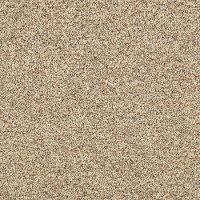 Karastan Russell Woods Carpet