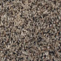 PHN.ELEMENTAL Phenix Elemental Carpet