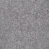 Shaw Stainmaster Tuscano Carpet