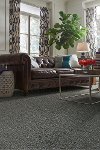 Shaw Stainmaster Tuscano Carpet-2