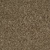 Shaw Stainmaster Destined For Success Carpet