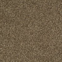 Shaw Stainmaster Destined For Success Carpet