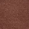 Shaw Stainmaster Picture Worthy Carpet-1