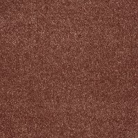 Shaw Stainmaster Picture Worthy Carpet