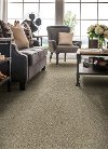 Shaw Stainmaster Picture Worthy Carpet-2