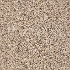Shaw Stainmaster Geneva Ridge Carpet-1