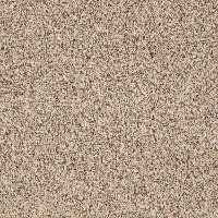 Shaw Stainmaster Geneva Ridge Carpet