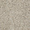 Shaw Stainmaster Ashburn Carpet