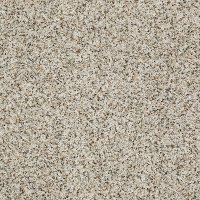Shaw Stainmaster Ashburn Carpet