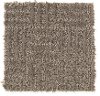 Mohawk Stainmaster Ellington Carpet