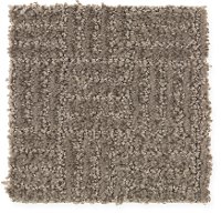 Mohawk Stainmaster Ellington Carpet