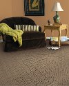 Mohawk Stainmaster Ellington Carpet-2