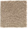 Mohawk Stainmaster Fairview Carpet