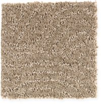Mohawk Stainmaster Fairview Carpet