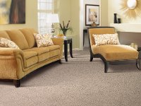 MHK.FAIRVIEW Mohawk Stainmaster Fairview Carpet-2