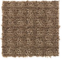 Mohawk Stainmaster Brookshire Carpet