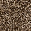Phenix Stainmaster Crossroads Carpet