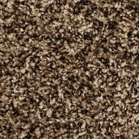 Phenix Stainmaster Crossroads Carpet
