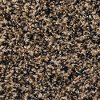 Phenix Stainmaster Fusion Carpet
