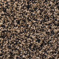 Phenix Stainmaster Fusion Carpet