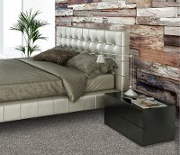 PHN.FUSION Phenix Stainmaster Fusion Carpet-2
