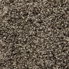 Phenix Stainmaster Roundabout Carpet