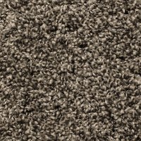 Phenix Stainmaster Roundabout Carpet