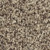 Phenix Stainmaster Mosaic Carpet
