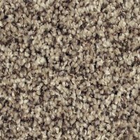 Phenix Stainmaster Mosaic Carpet