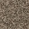 Phenix Stainmaster LabyrInth Carpet