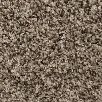 Phenix Stainmaster LabyrInth Carpet