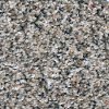 Phenix Stainmaster Medley Carpet