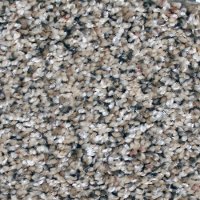 Phenix Stainmaster Medley Carpet