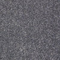 Shaw Stainmaster Design Focus II Carpet