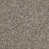 Shaw Stainmaster Design Focus I Carpet
