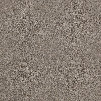 Shaw Stainmaster Design Focus I Carpet