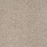 Shaw Dare To Shine Carpet