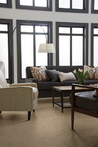 PHL.DARE.TO.SHINE Shaw Dare To Shine Carpet-2