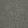 Shaw Bold Steps Carpet