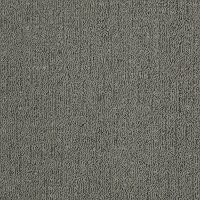Shaw Bold Steps Carpet