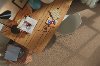 Shaw Bold Steps Carpet-2