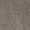 Shaw Dare To Shine Tonal Carpet